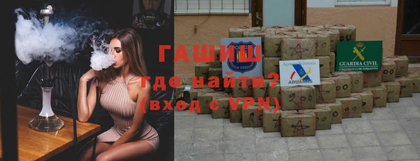 хмурый Арсеньев