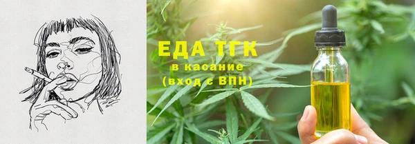 хмурый Арсеньев