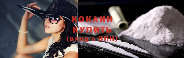 эйфоретик Аркадак