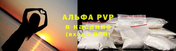 хмурый Арсеньев